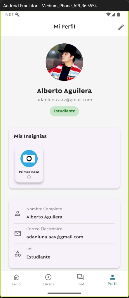 Imagen del proyecto