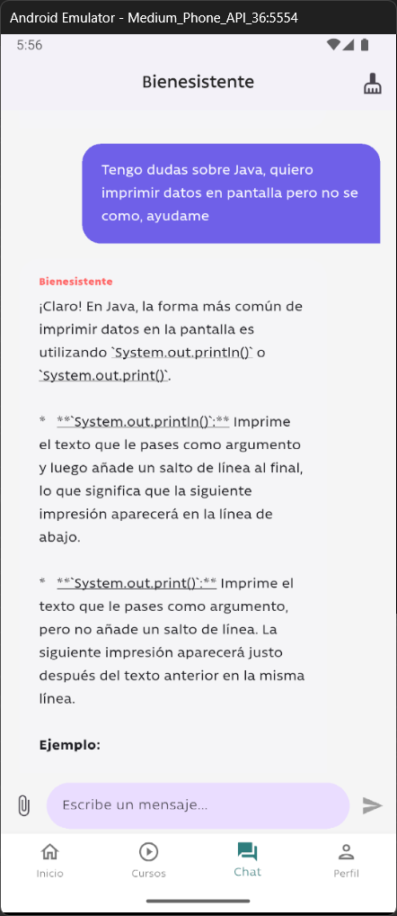 Imagen del proyecto