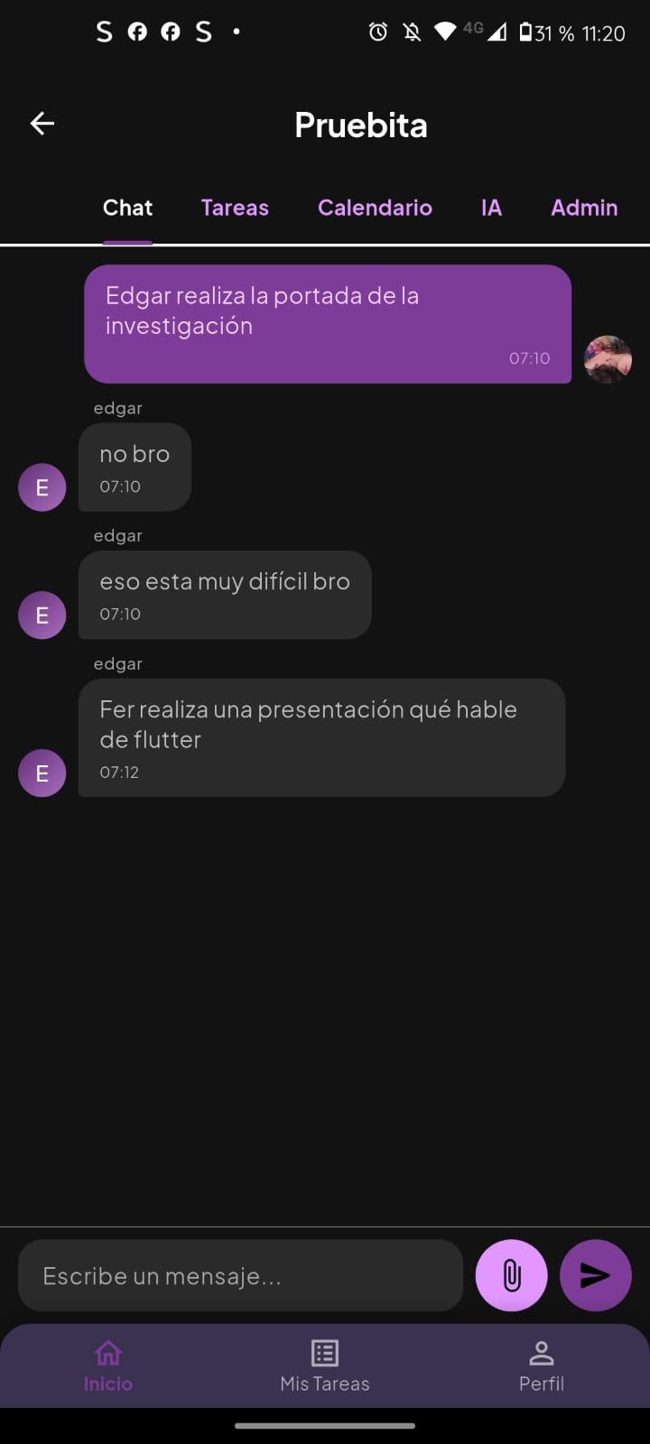 Imagen del proyecto